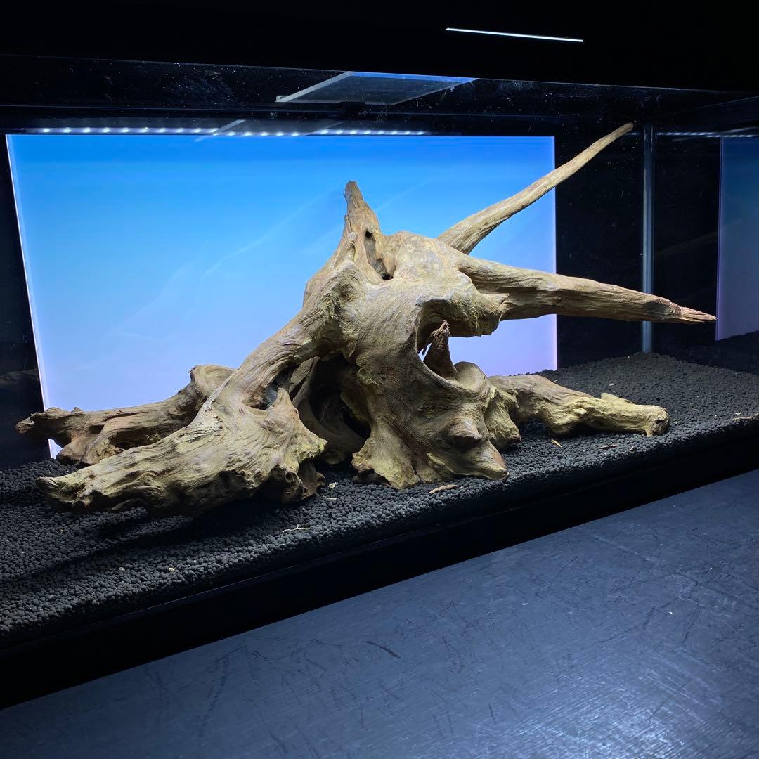 MRW-6371 特大流木　1点物自立　90cm水槽用　アクアリウム　爬虫類