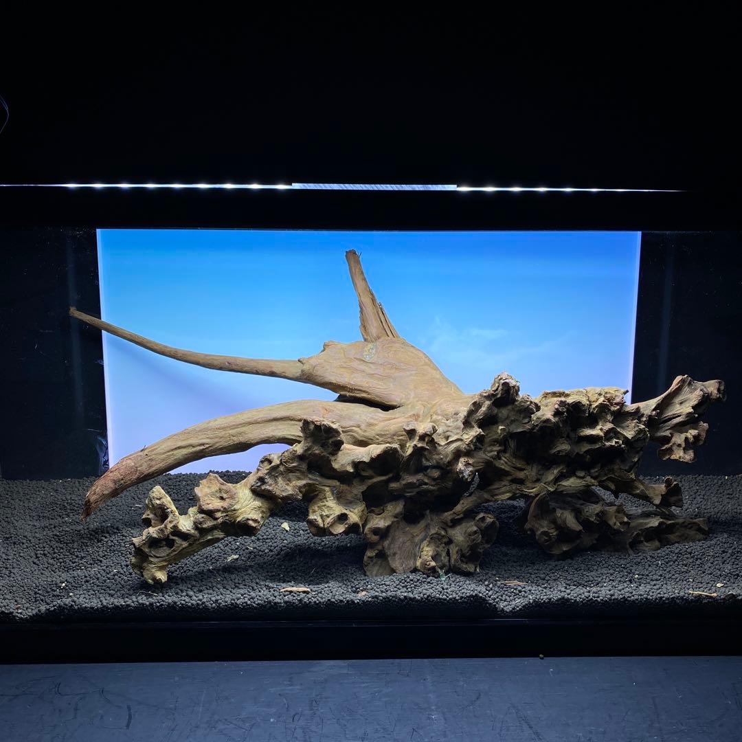 MRW-6371 特大流木　1点物自立　90cm水槽用　アクアリウム　爬虫類