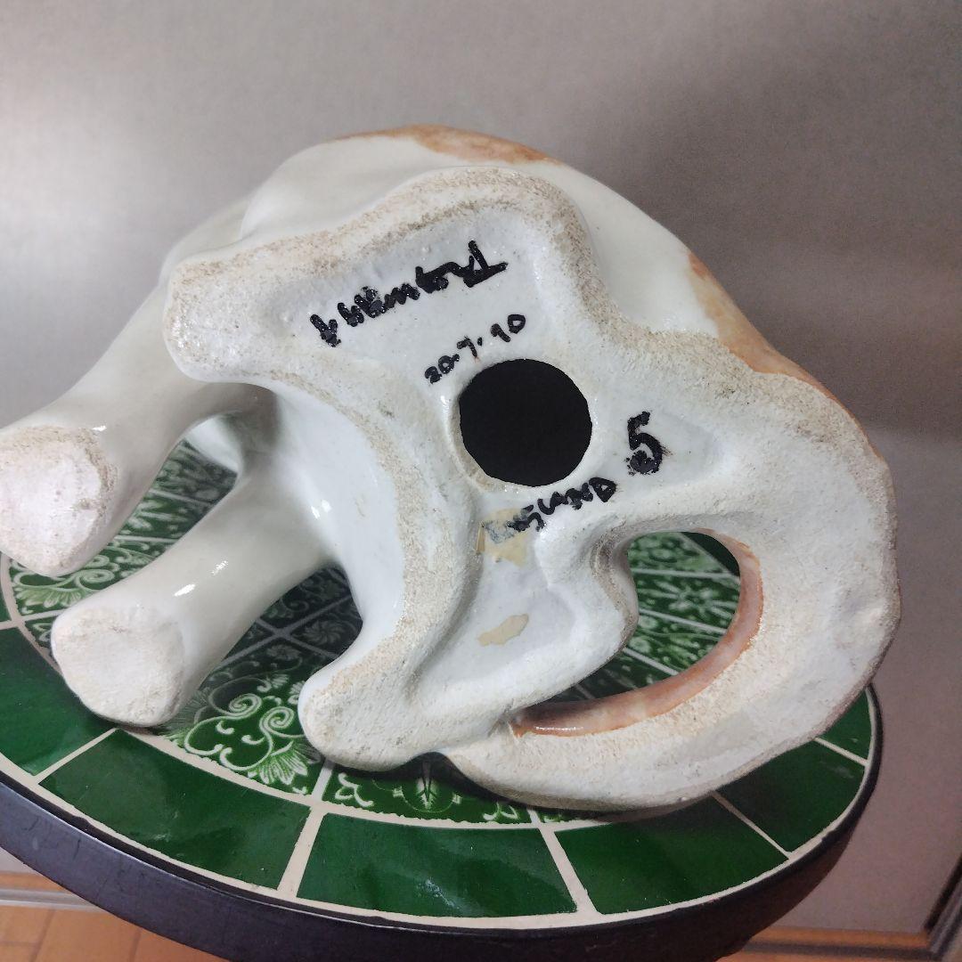 ウィンスタンレイキャット（ケンジントンキャット）サイズ５、ジンジャー&ホワイト