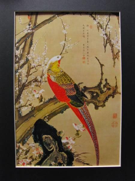 伊藤若沖、白梅錦鶏図、超希少・大判画集画、新品高級額装付