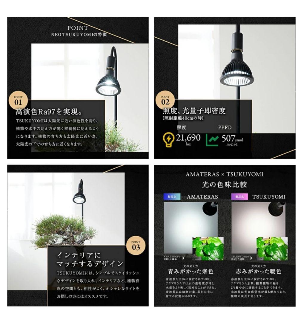 ＮＥＯ　ＴＳＵＫＵＹＯＭＩ　ネオツクヨミ　ＬＥＤ　ＢＬＡＣＫＥＤＩＴＩＯＮ　1個