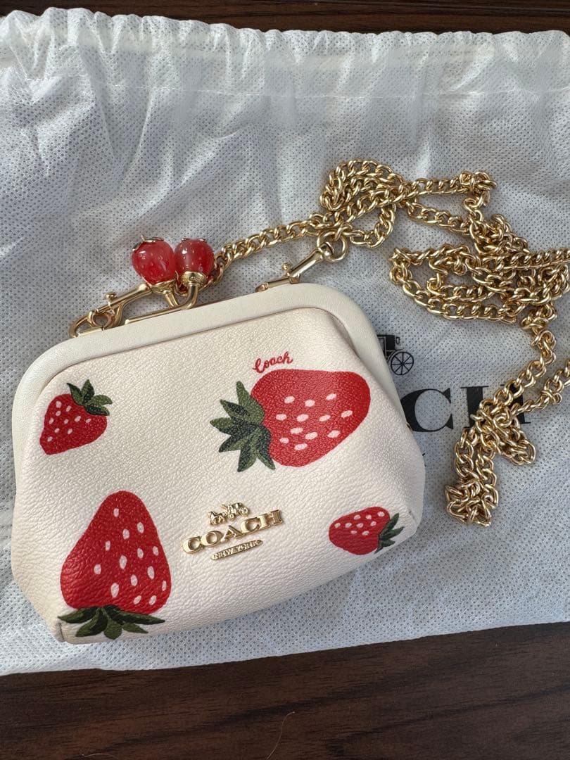 【Alex】COACH いちご柄 ケース