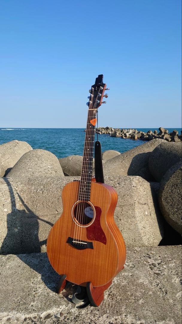 【超希少・ES2搭載】Taylor GS Mini-e Mahogany