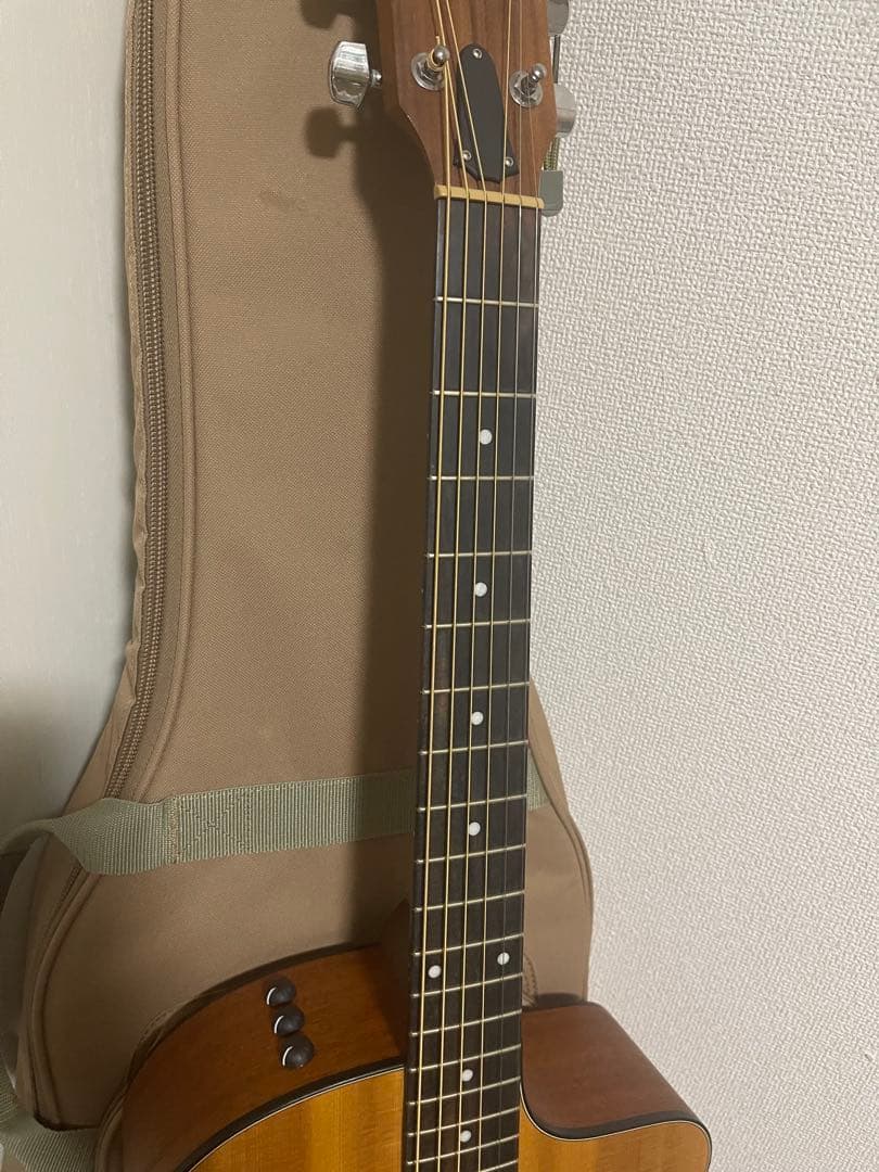 『本日限定』Taylor 114ce テイラー エレキ アコースティックギター