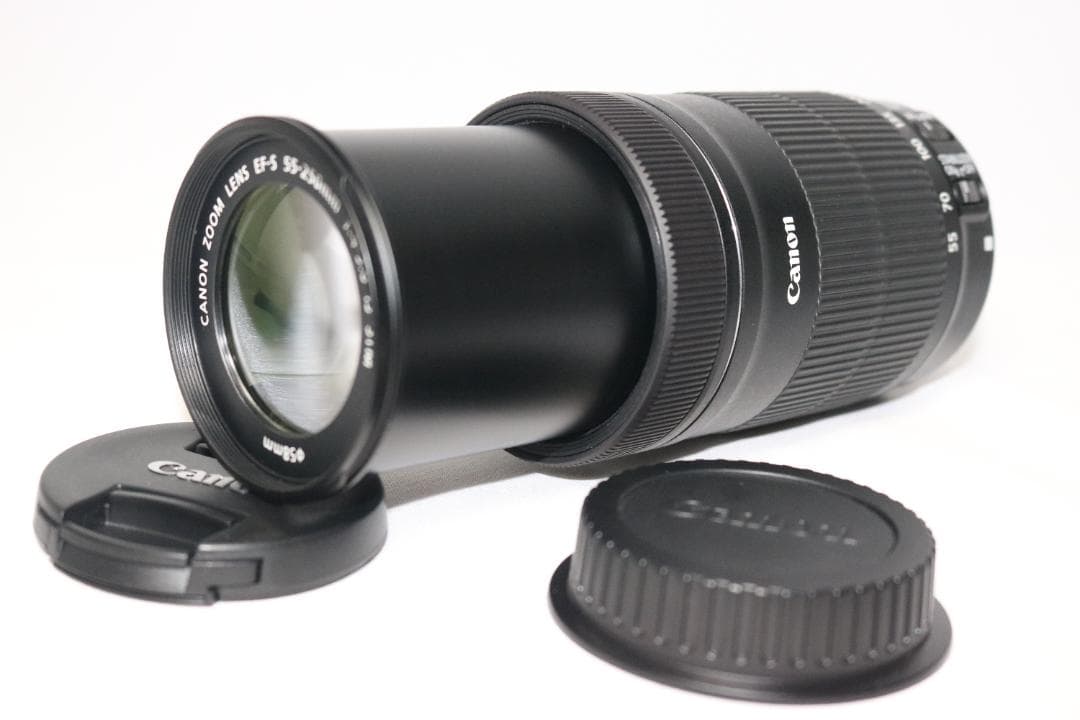 ⭐️超望遠レンズ⭐️Canon EF-S 55-250mm IS STM