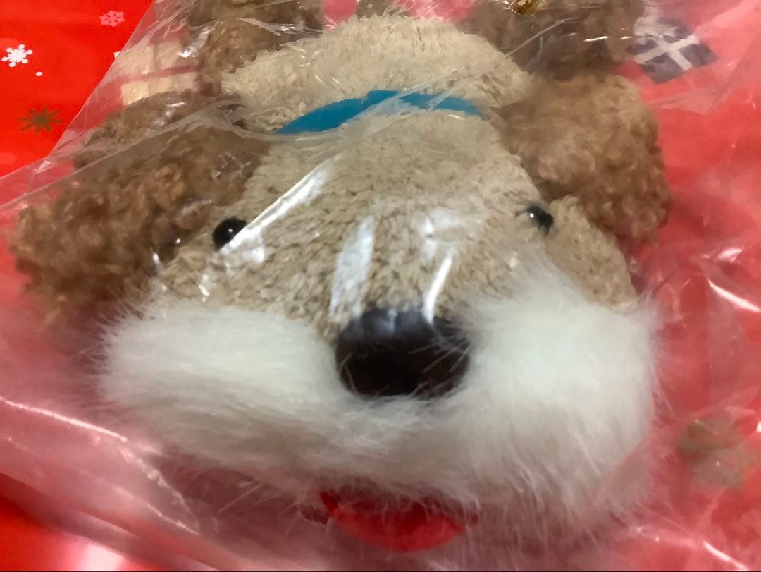 【確認画像】モフモフ　モハモハ　モコモコ　アニマル クタクタ　ワンチャン