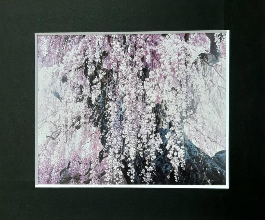 三栖右嗣、「爛漫」、希少画集の額装画、四季、風景、人気作品