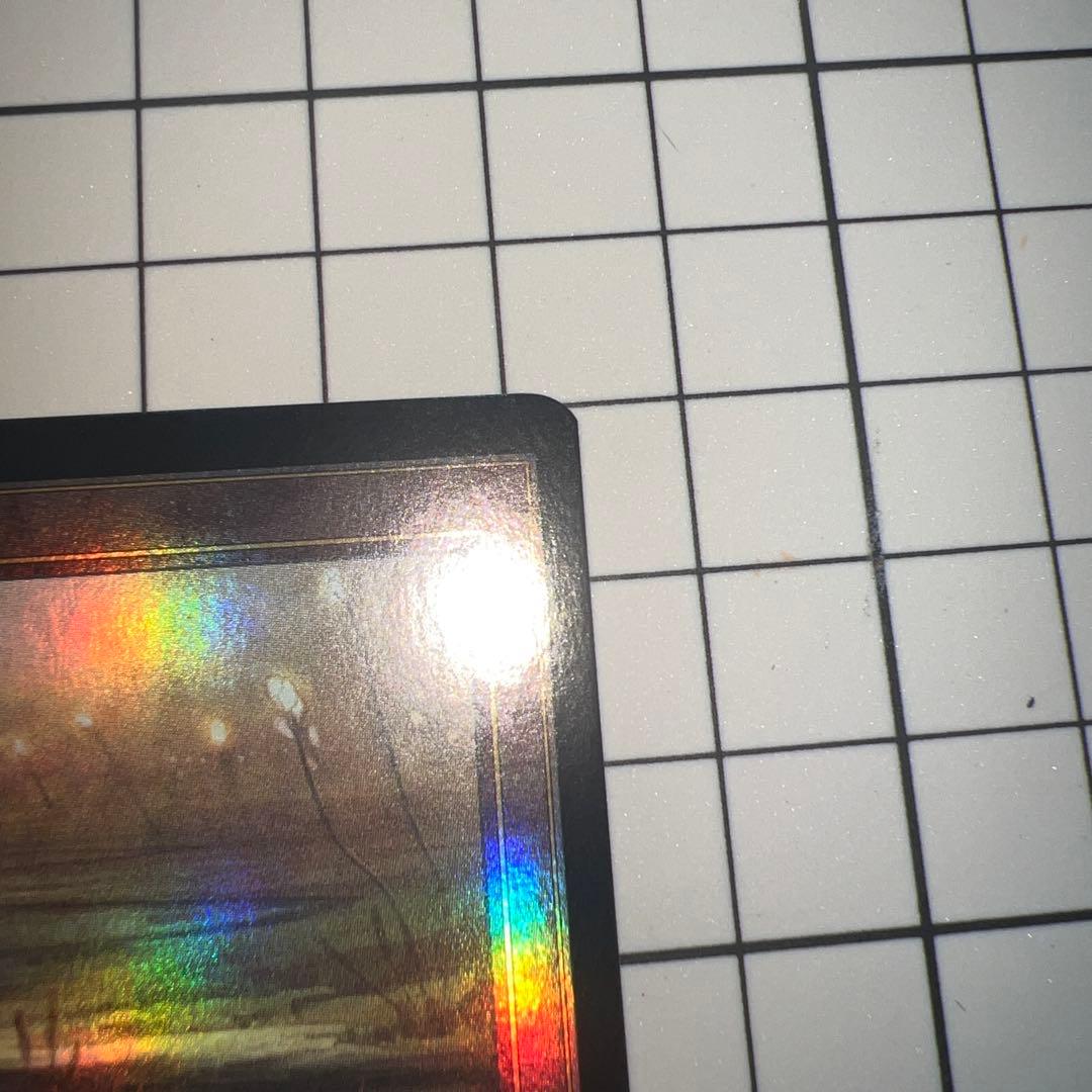 湿地の干潟　旧枠フォイル2枚