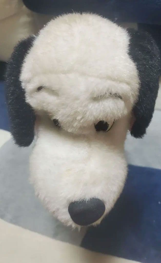 大特価！ 半額セール レア 101わんちゃん ぬいぐるみ セット