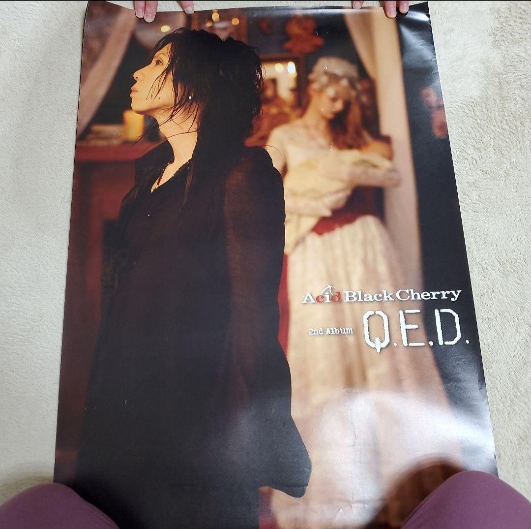 Aci Black Cherry Q.E.D. ポスター　その③