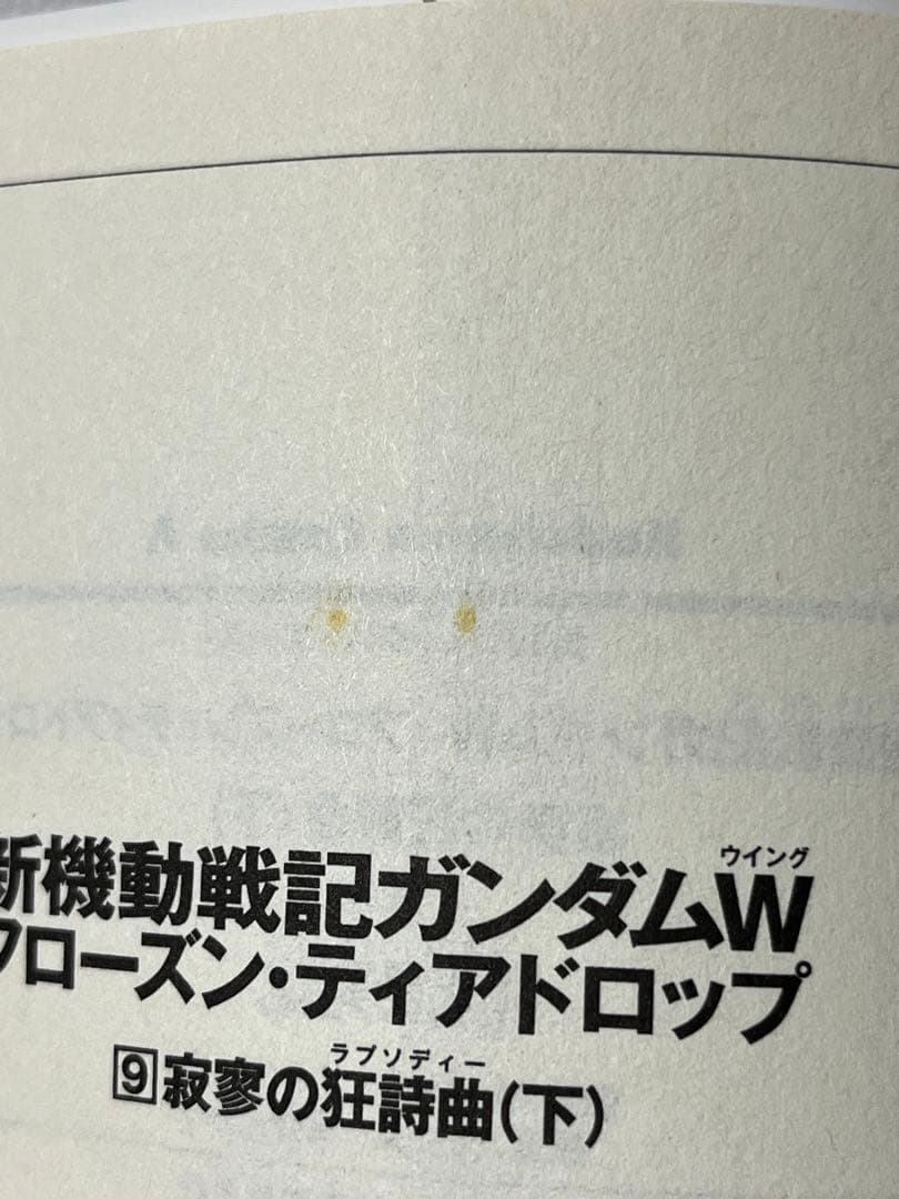 新機動戦記ガンダム W フローズン・ティアドロップ