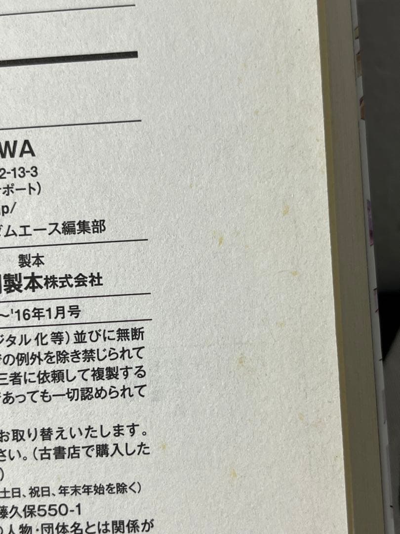 新機動戦記ガンダム W フローズン・ティアドロップ