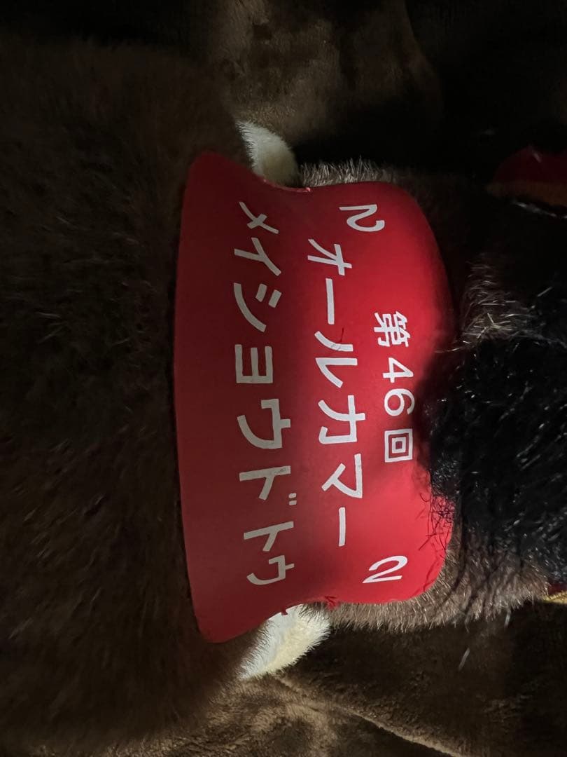 稀少 美品 メイショウドトウ ぬいぐるみ アイドルホースAVANTIオールカマー