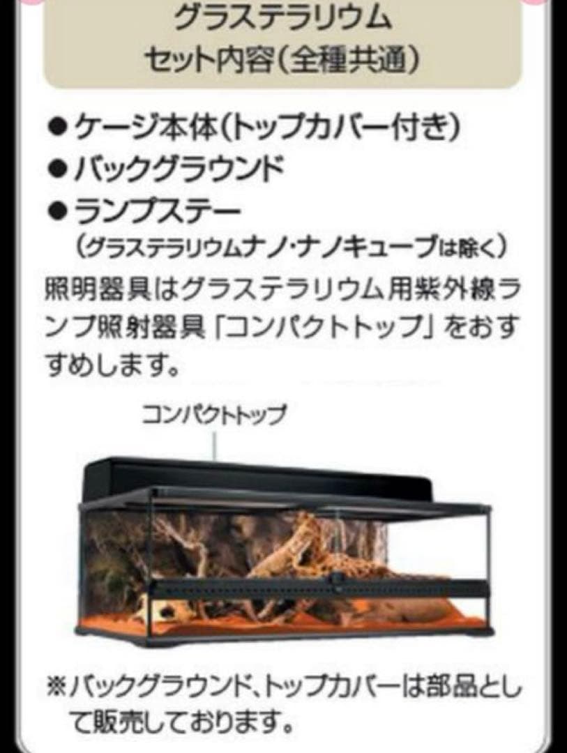 GEX エキゾテラ グラステラリウム 4545 PT2605