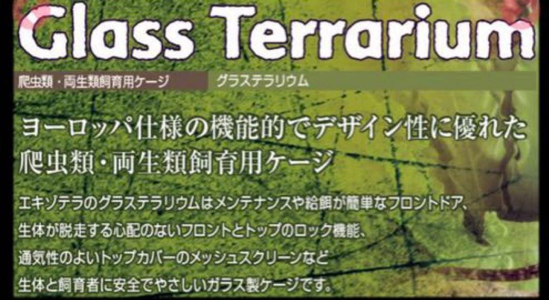 GEX エキゾテラ グラステラリウム 4545 PT2605