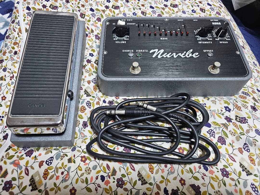 ギター nuvibe