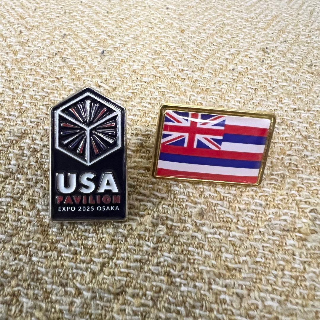 【非売品】大阪関西万博2025 USA パビリオン アメリカ館 ピンバッジ2点