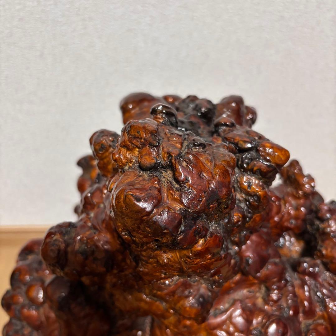 木の瘤　オブジェ　置物　天然木　自然木　木瘤　レア物　異形　インテリア　和風