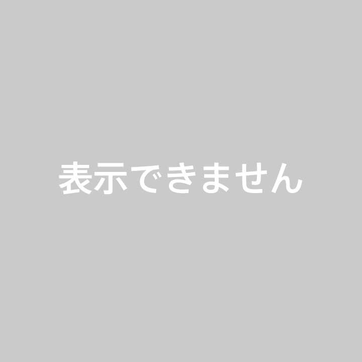 PowerArQ 電気毛布 洗える 掛け敷き Electric Blanket