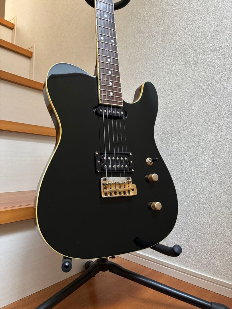 Fernandes フェルナンデス　TEJ 55g 中古