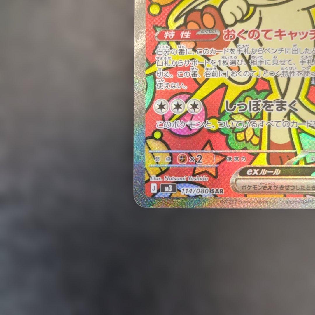 ニャース　sar