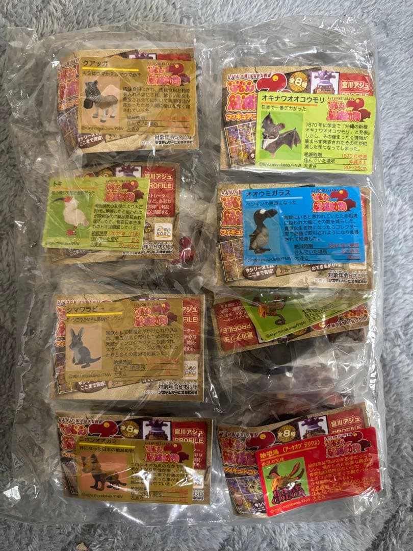 戦え絶滅動物　宮川アジュ　天然記念物　ニホンオオカミ　トキ　始祖鳥　シークレット