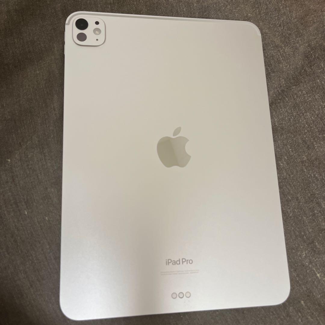 Apple iPad Pro 11インチ第5世代256GB