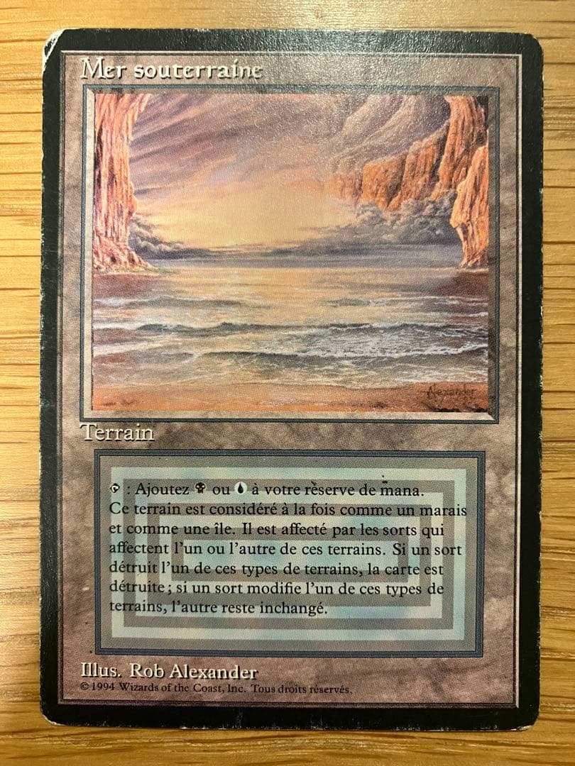 MTG Underground Sea フランス語　黒枠　FBB デュアルランド