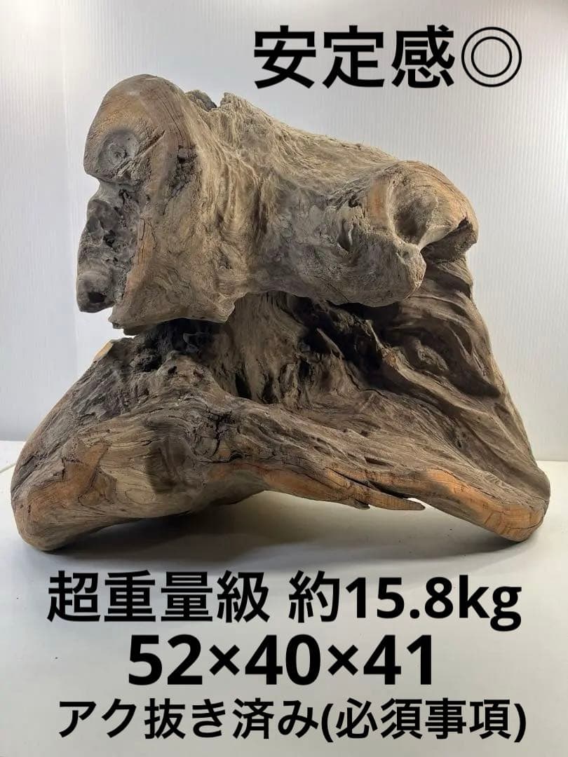 k64大型流木 アク抜き済み 爬虫類シェルター レイアウト用 登り木 インテリア