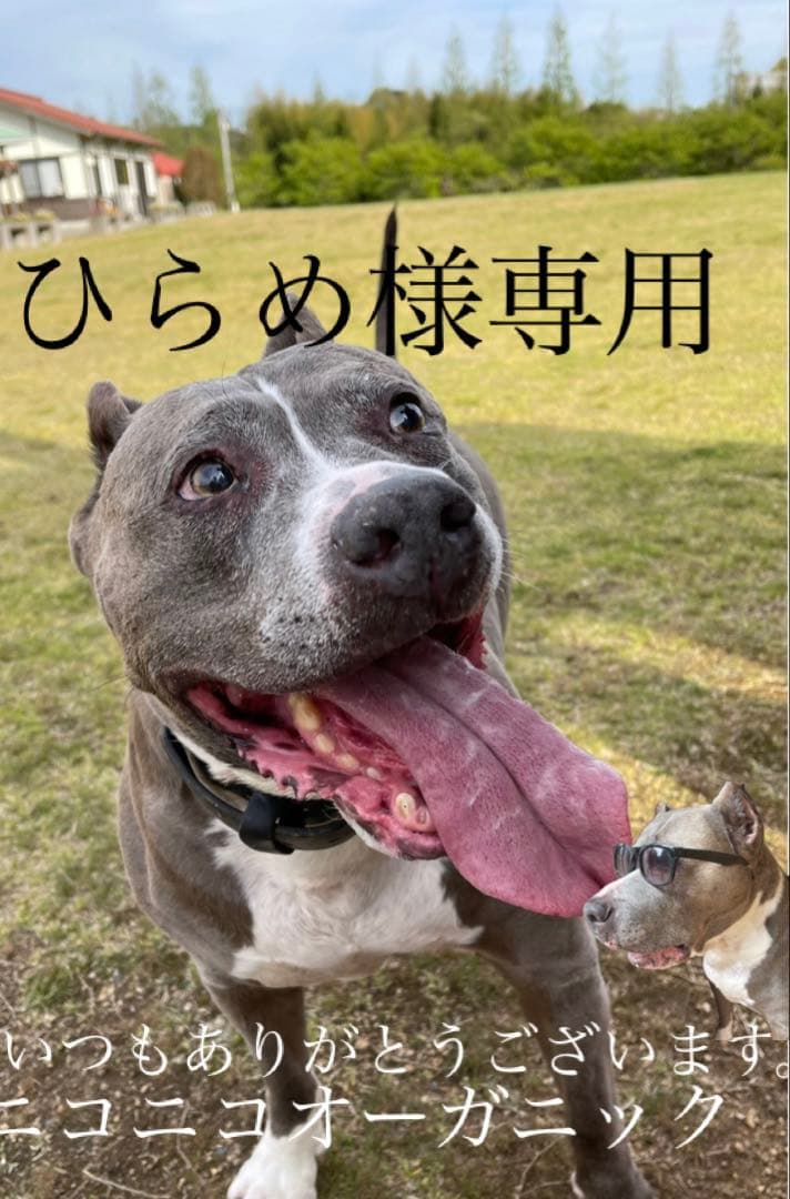 ひらめ