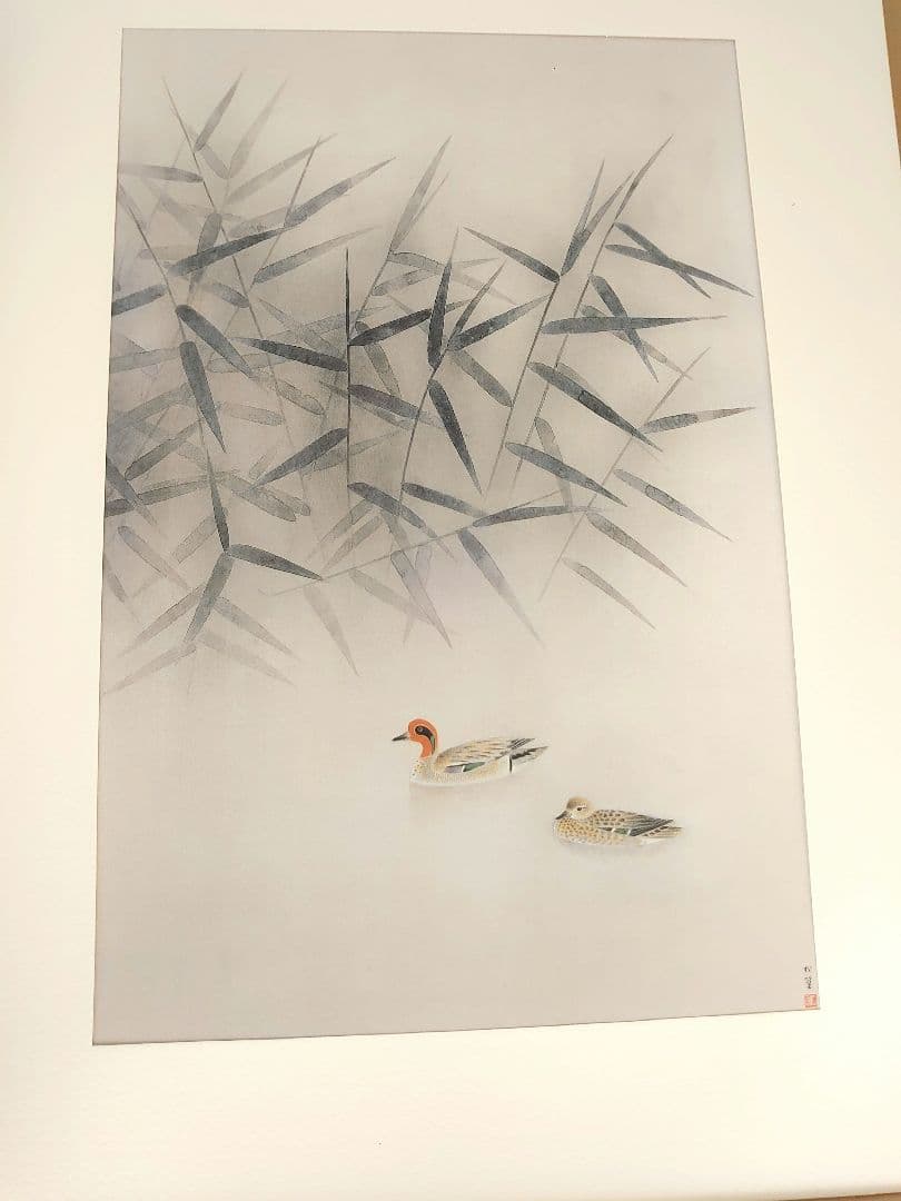 ✨白孔雀 花鳥 上村松篁　全8枚✨