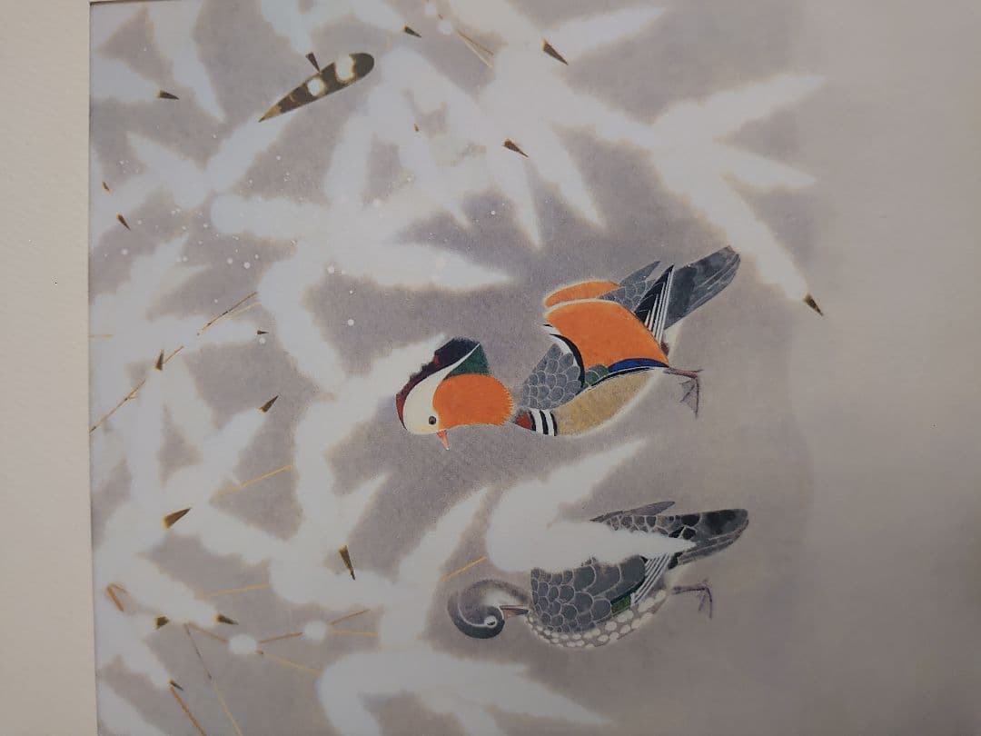 ✨白孔雀 花鳥 上村松篁　全8枚✨