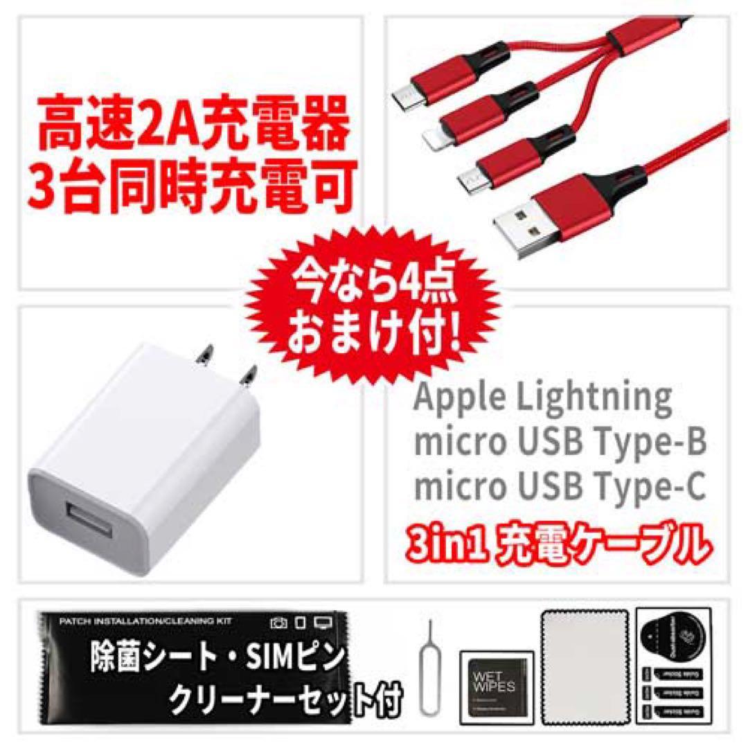 Wi-Fi iPad Pro12.9 第3世代 本体 256GB シルバー