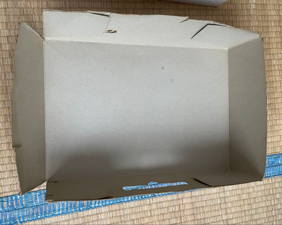 電子合体バイオロボDX超合金　超電子バイオマン