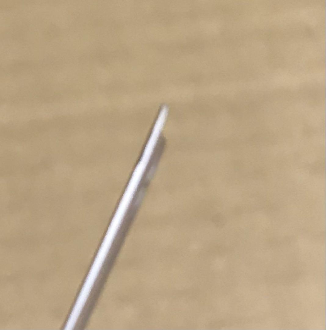ハチ様確認用