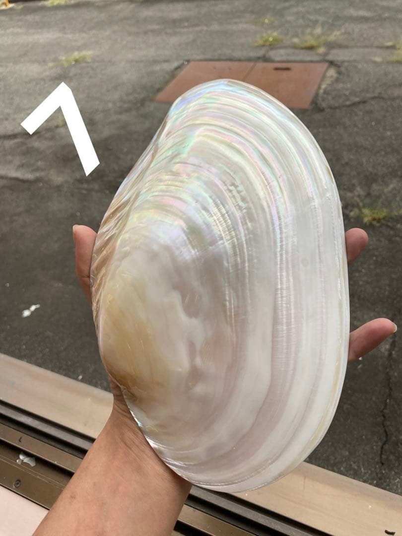 専用　まとめ7点セット