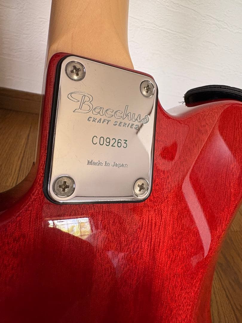 ギター Bacchus Craft Series made in Japan