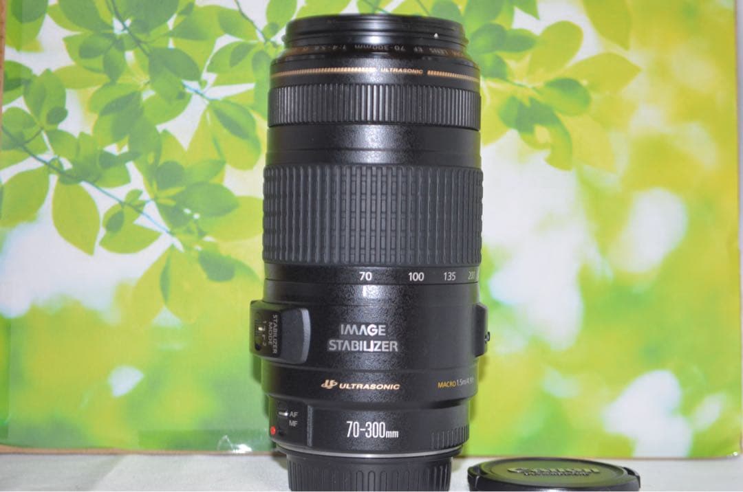 ❤極美品❤Canon EF 70-300mm F4-5.6 IS USM
