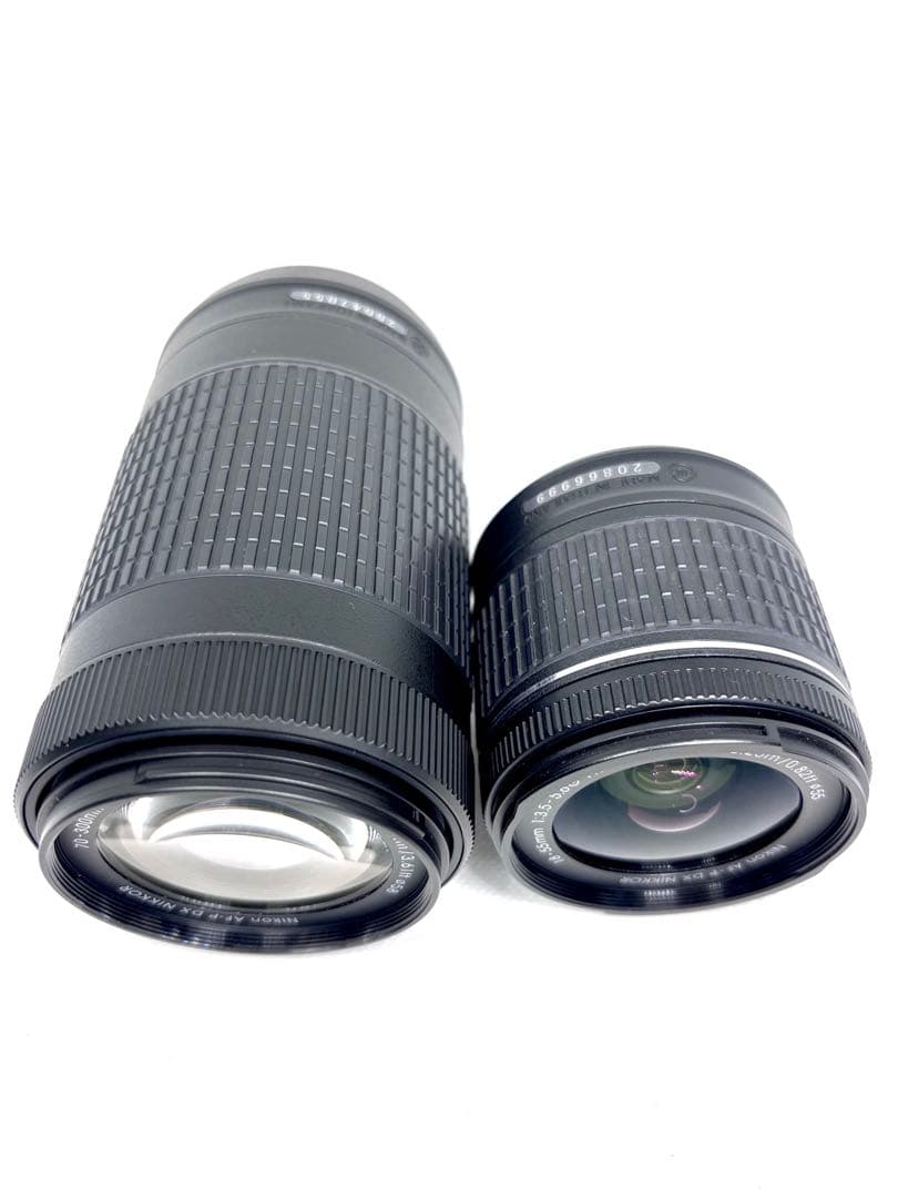 【美品、シャッター数2900回極小】ニコン Nikon D5600 ダブルズーム