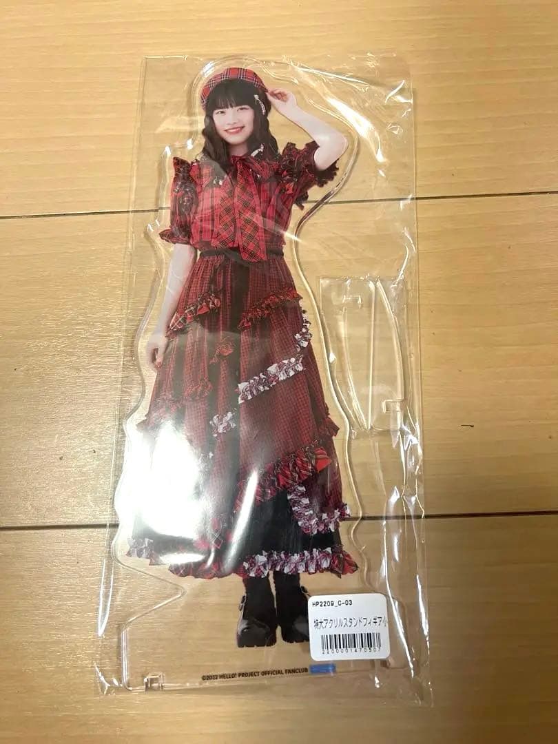 小林萌花FSKまとめ売り　バラ売り不可