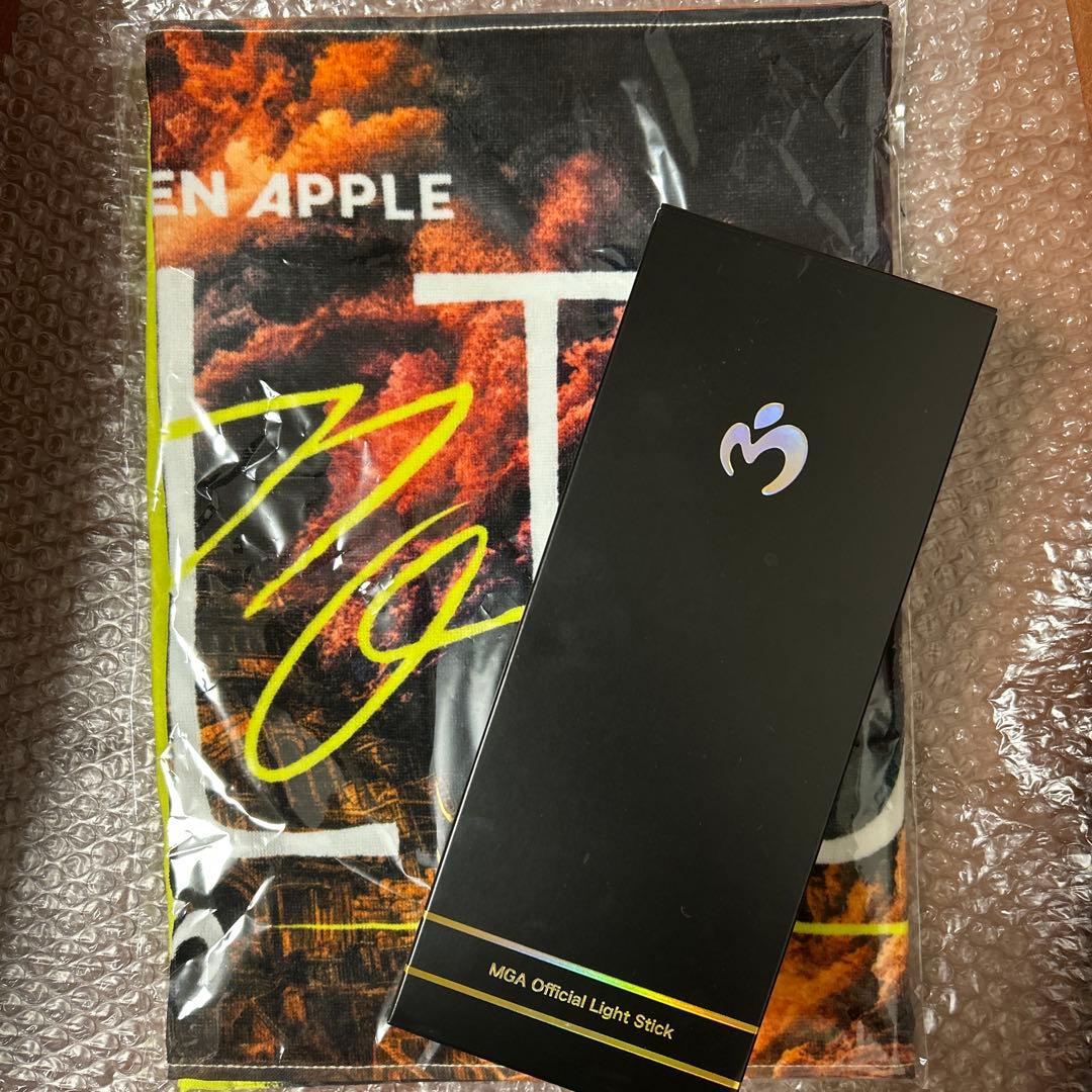 MGAペンライト+タオル