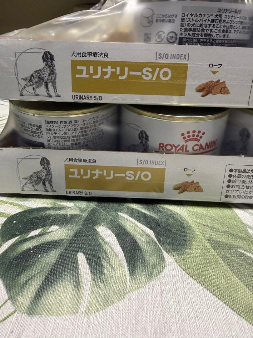 ロイヤルカナン　ユリナリーS/O 18缶