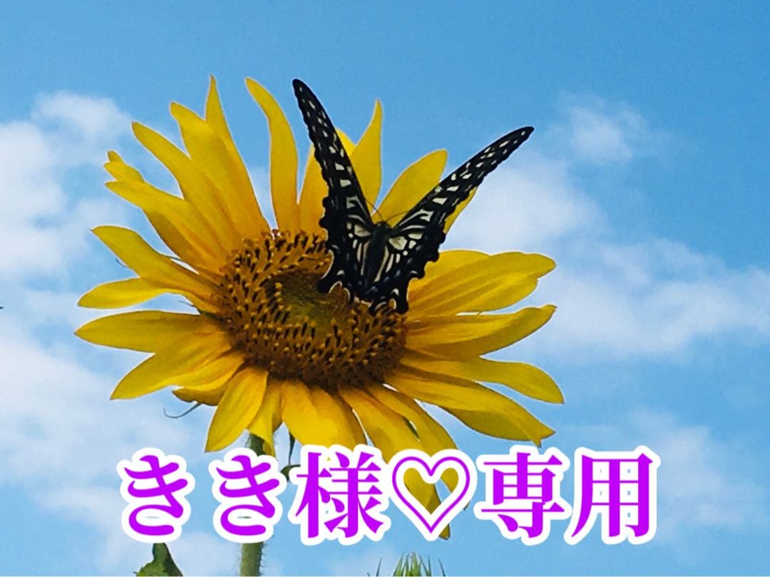きき様❤️おまとめ専用ページです。5/1で♡