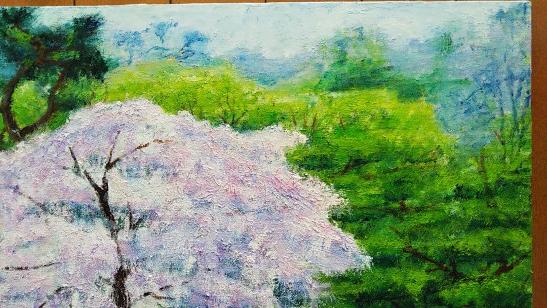 油絵 風景画 神奈川三渓園の枝垂桜【4月】P10