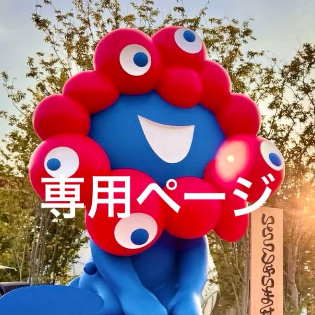 専用ページです！