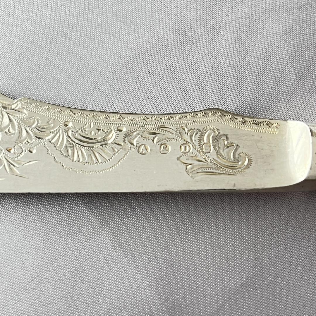 【Allen & Darwin】【白蝶貝】ベリーサーバー / バターナイフ