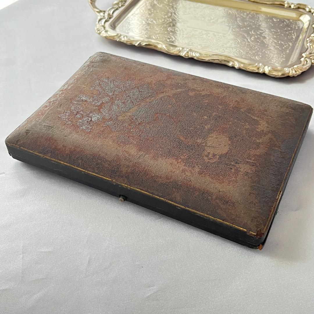 【Allen & Darwin】【白蝶貝】ベリーサーバー / バターナイフ