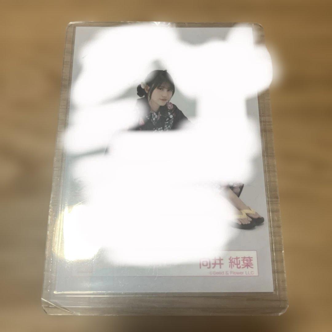 櫻坂46 向井 純葉　2025浴衣　生写真　直筆　サイン　入り