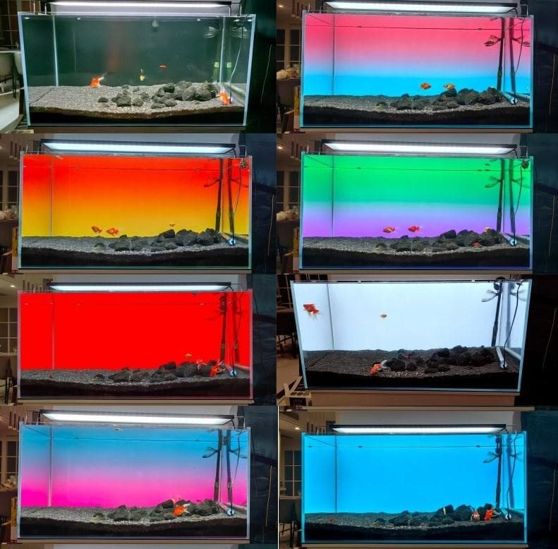 【b2l30】2色カラーLEDライトスクリーン OFF黒 30cm x 30cm