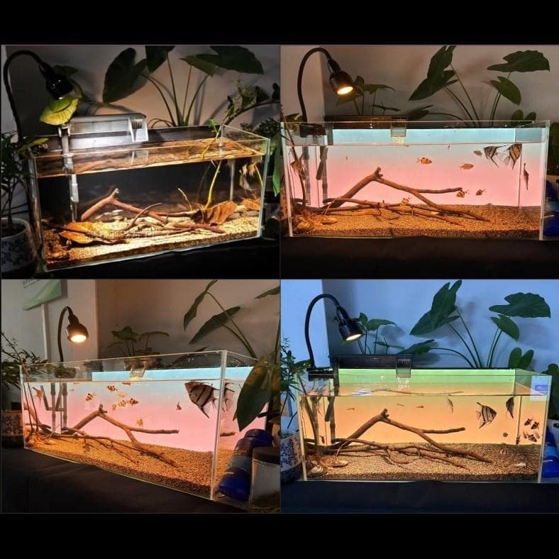 【b2l30】2色カラーLEDライトスクリーン OFF黒 30cm x 30cm